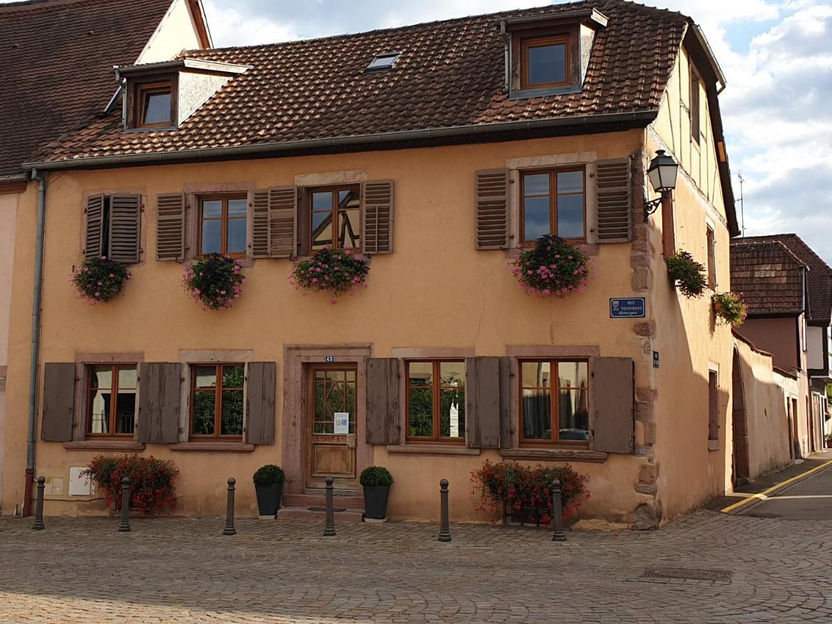 Chez Laurette A Bergheim Διαμέρισμα Εξωτερικό φωτογραφία
